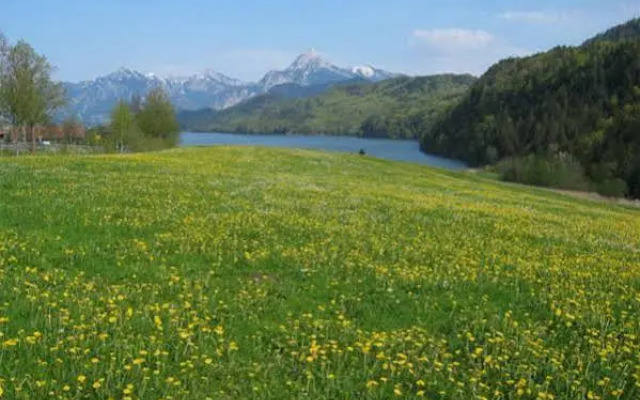 Steigmühle Pension Garni