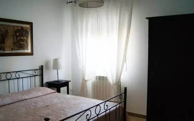 Tenuta Il Vigneto