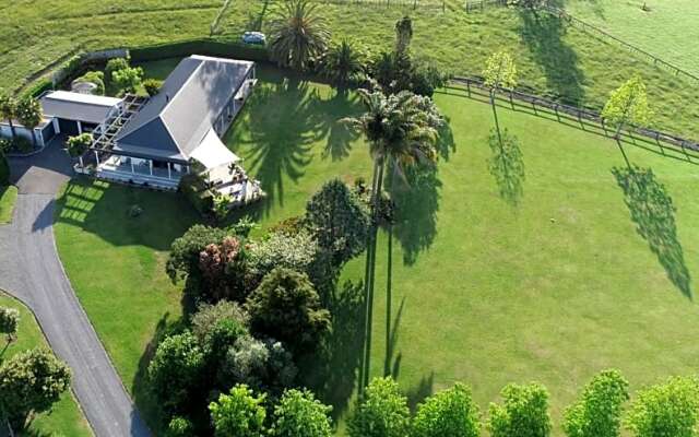 Rural Palms
