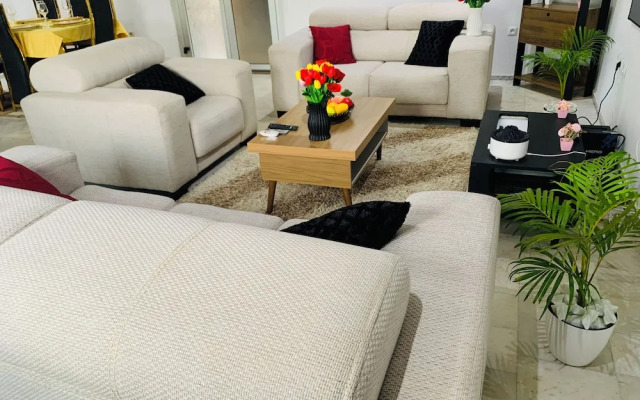 The Penthouse Essentials