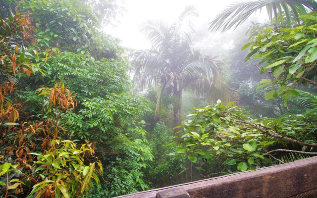 Mt Glorious Getaways