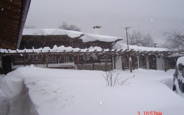 The House With The Vine Guest House