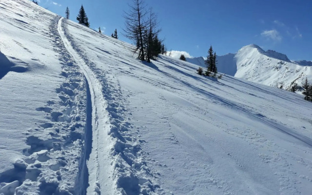Sonnen-Appartement Heidi