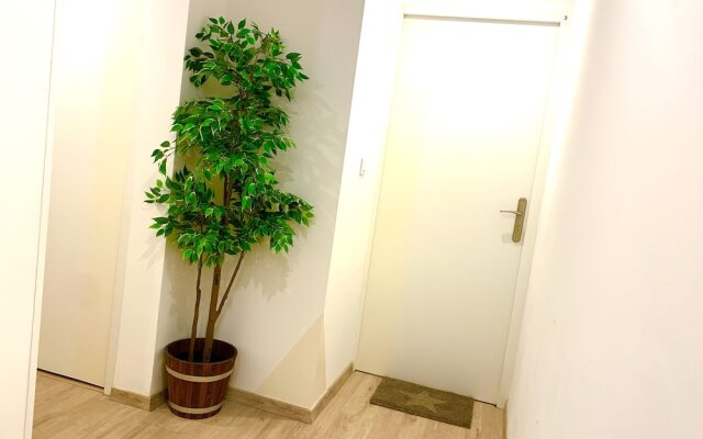 PERLE Studio