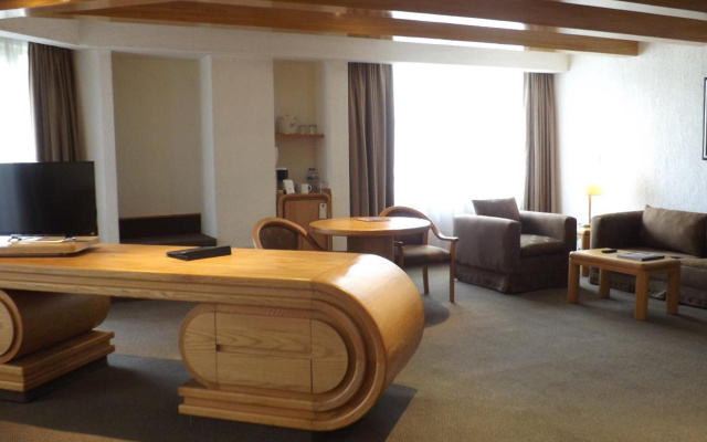 Royal Pedregal Hotel