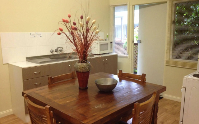 Coconut Palms on the Bay
