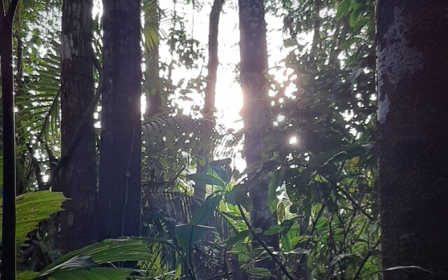 Inti Amazon Lodge - Lupuna Zona 2