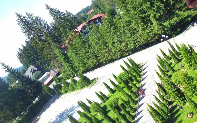 Miraj Poiana Brasov