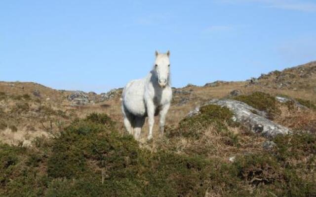 The Connemara Hostel - Sleepzone