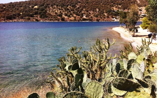 Spacious Sea Front Apartment - Porto Bouffalo - Evia