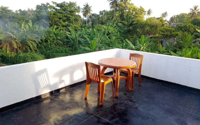 Tropical Suites