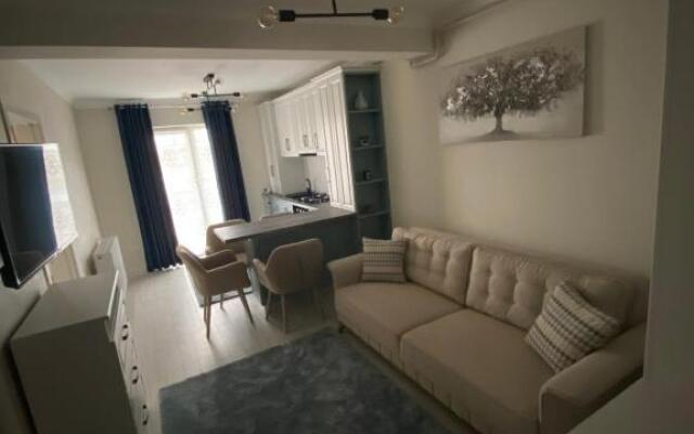 Apartament Ozana