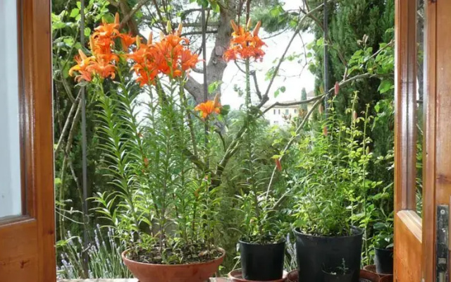 Poggio Gaio Guest House