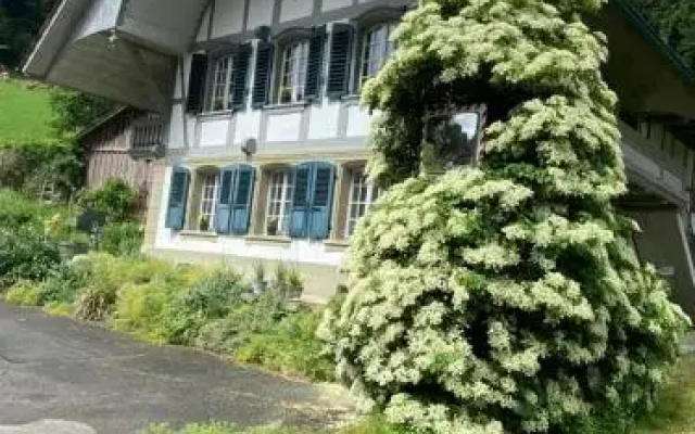 Bandb Tannen124