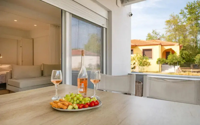 Aristi House in Olimpiada