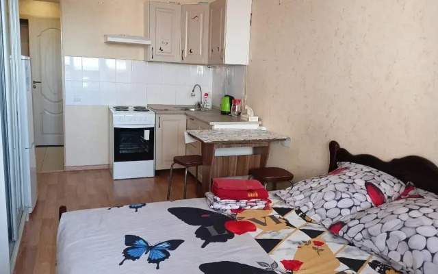 Апартаменты на улице Куйбышева