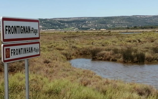 Studio Plage Anthemis