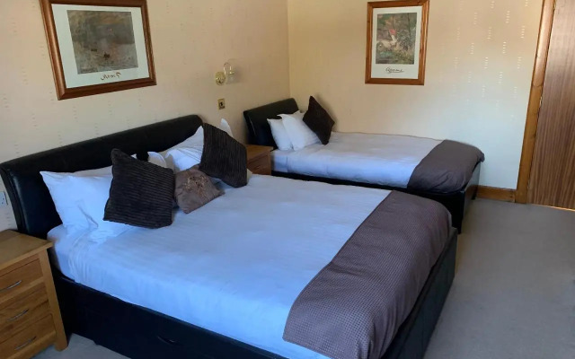 Pine Guest House