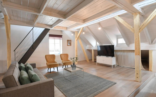 18Th Century Loft At Charles Bridge