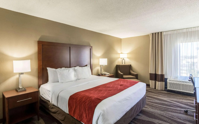 Comfort Inn Pensacola - University Area