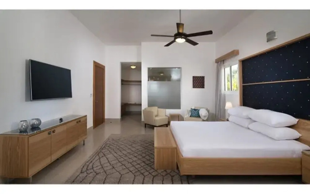 Dream Now Travel Later