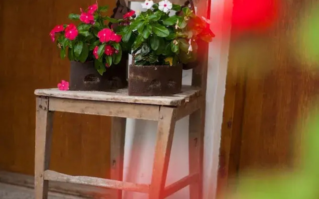 Country House Stara Kapela