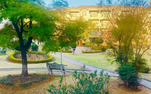 Phoenix Rising Apartment