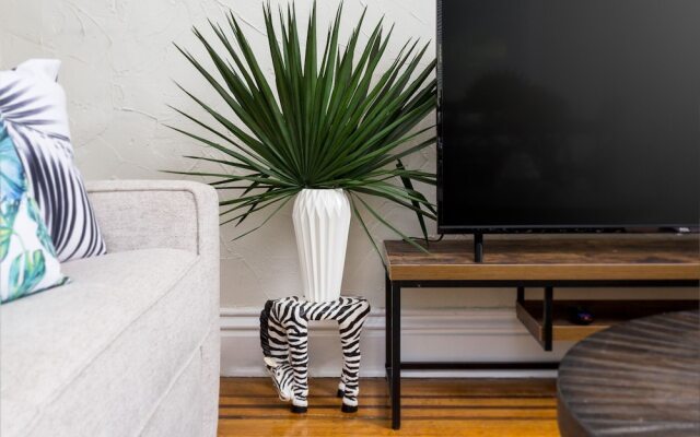 Fully renovated 4BR Bardstown / Highlands!