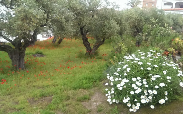 Apartamento Tía Antonia