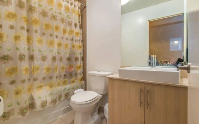 Noel Suites - Air Canada Centre