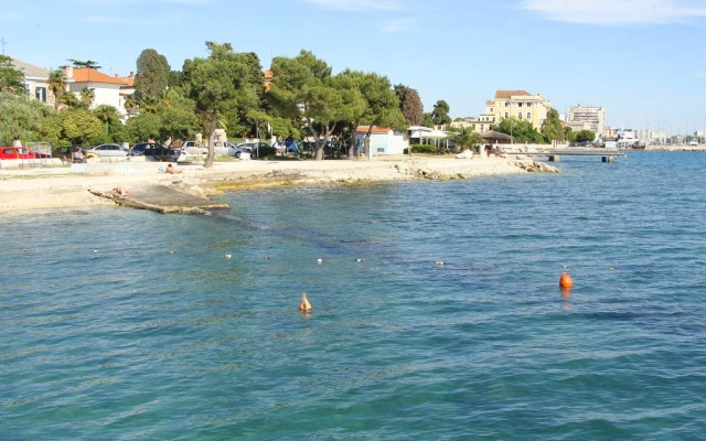 Apartment Palcic