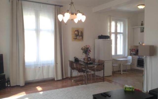 Exclusive apartment on Zborovska