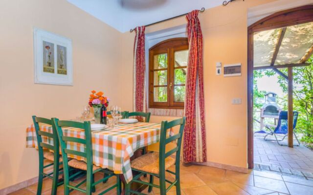 House Falco Riparbella