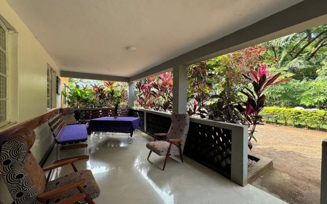 jacaranda homestay