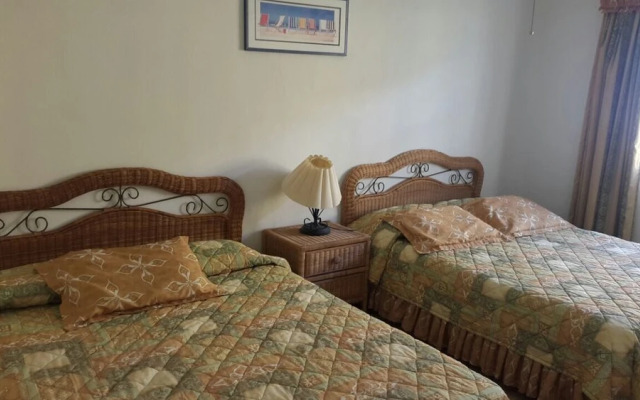 Paradise Villa in Palma Real