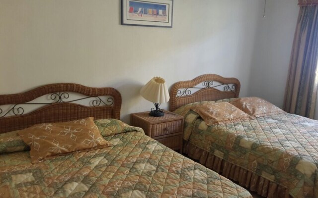 Paradise Villa in Palma Real