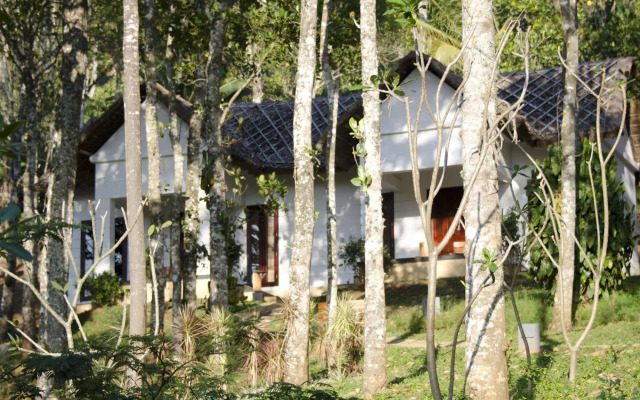 Niraamaya Retreats Cardamom Club