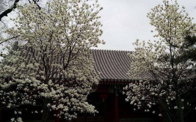 Scholar Tree Courtyard Hotel（Beijing Hebei Guest Hotel）