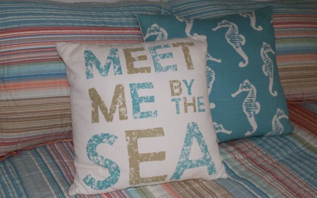 Sand Dollar by Surfside VR