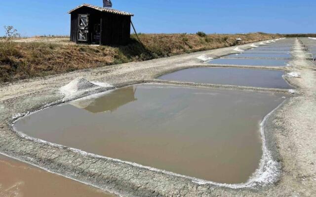 L'oiselière ------- nul part ailleurs