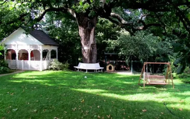 The Oak