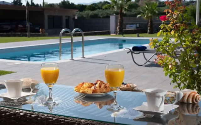 Luxurious Villa David