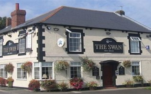 Swan Studios