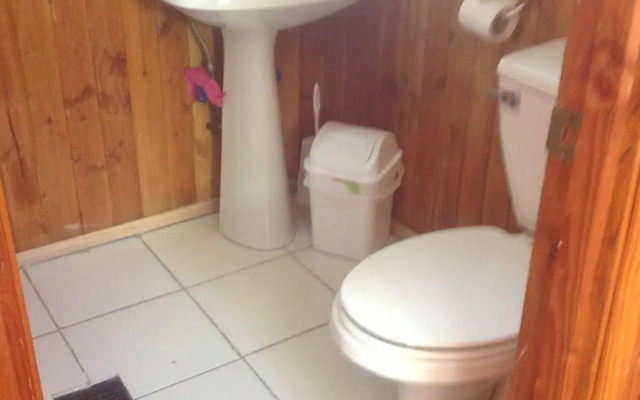 The Princesa Insolente Hostel - Pucon