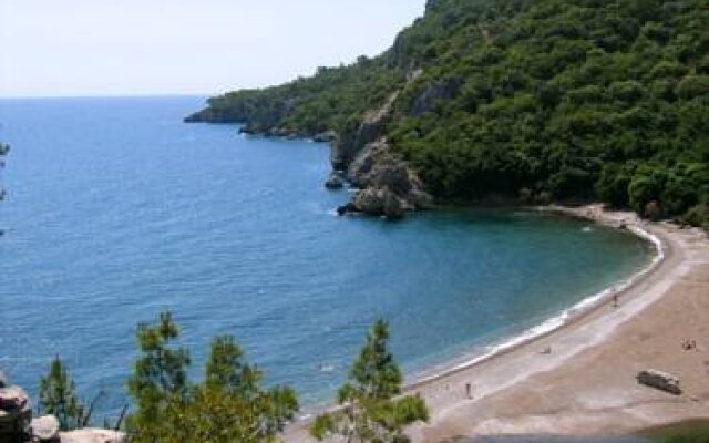 Acar Pension