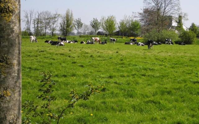 Vakantiehuisjesmarsherne