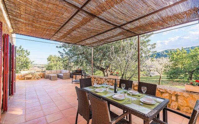 NEW 2020 - Empaltada