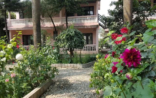The 90's Sauraha