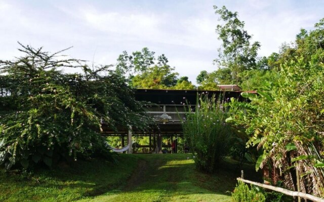 Albergue La Laguna Corcovado Park