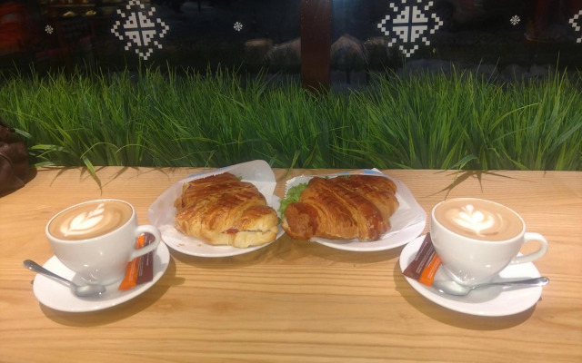 Magnificent apartment in Central Lviv